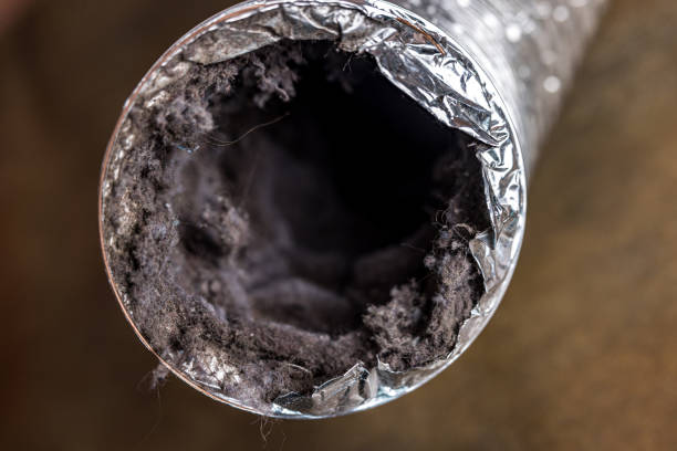 Best Local Air Duct Cleaning Services  in Eastport, ME