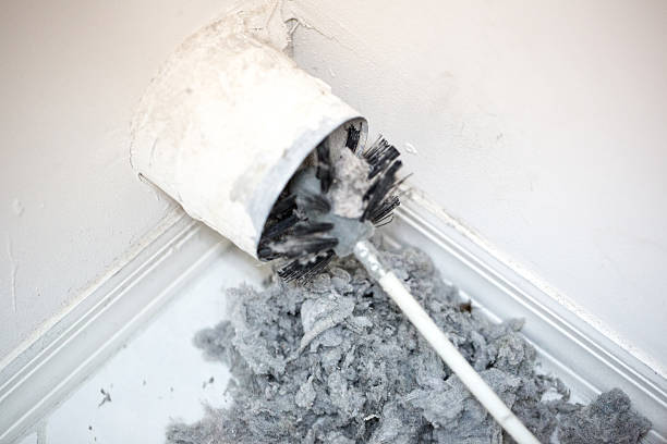 Best Dryer Vent Cleaning Services  in Eastport, ME